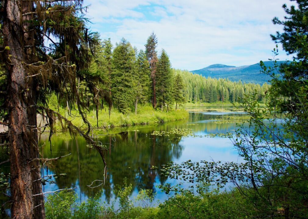 Washington: Ferry County